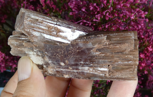 Grande aragonite rouge - grande,