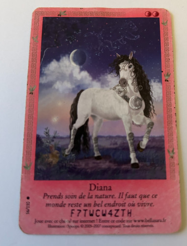 C123 carte bella - sara, diana