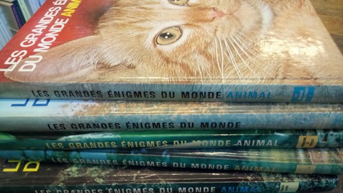 Lot livres les grandes - 26,
