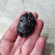 Petite Noix de Corozo début