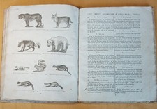 ENFANTINA  - livre éducatif