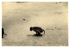 Inde, Madura, Temple Alagar