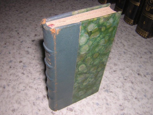 1895 madame neigeon - 1895.madame,