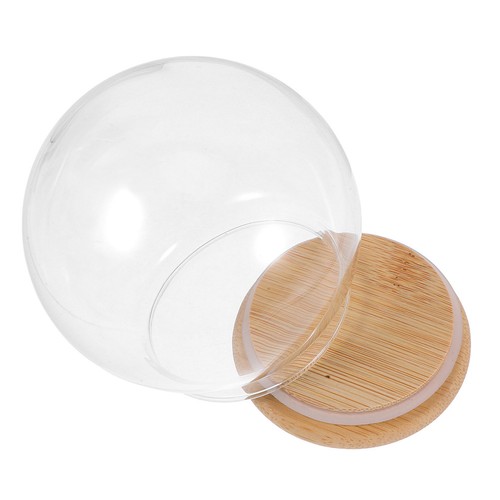 Dome verre avec socle dôme - avec,