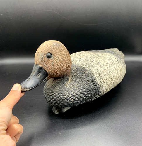 Canard chasse moriglione sport - chasse,