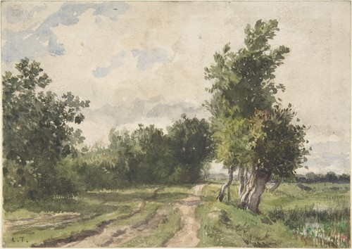 Constant troyon landscape - troyon,