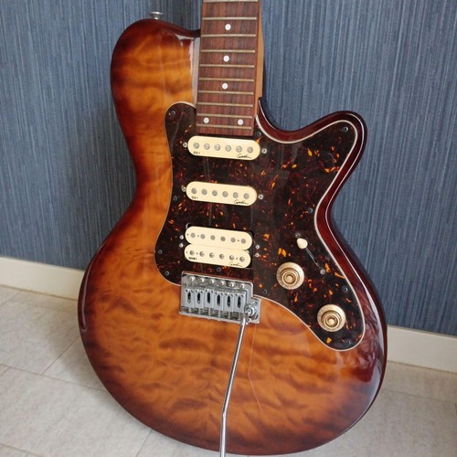 Godin model sd24 electric - sd24,