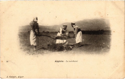 Cpa algeria geiser 86 - ed., no.