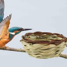 Nid d'oiseau, maison de