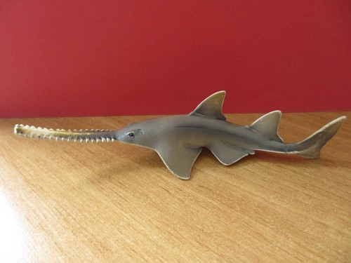 Figurine requin scie - scie, 2013