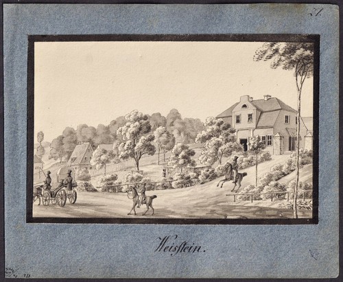 Pierre blanche bialy - blanche, kamien