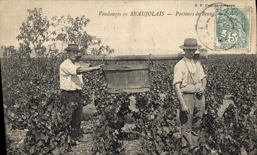 Vendanges beaujolais - beaujolais, —