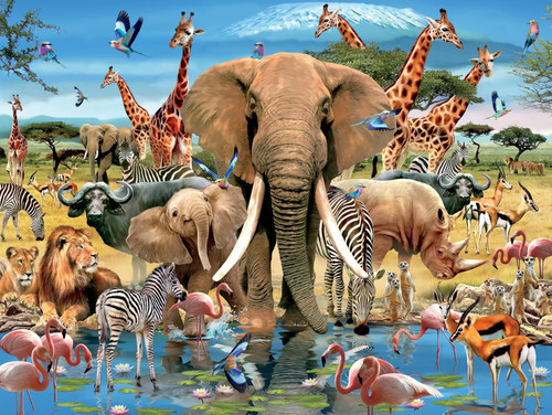 Puzzle adulte 1000 pièces - adulte,
