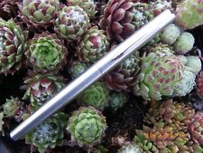 * STYLO PLUME PARKER 15 ACIER BROSSE EXCELLENT ETAT 