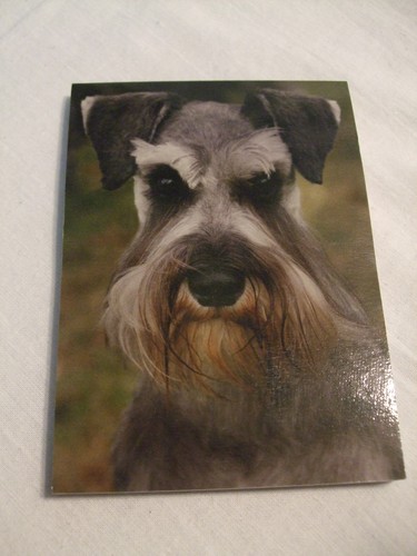 Carnet aimanté feuilles - carnet,