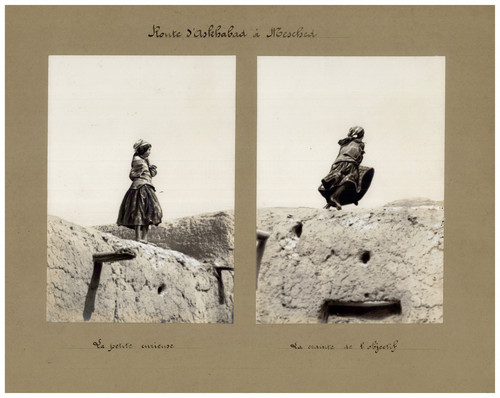 Persia the little curious - persia,,