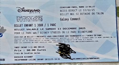 Billet disneyland paris - billet,