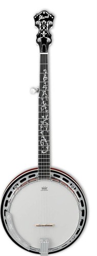 Ibanez b200 banjo - ibanez,
