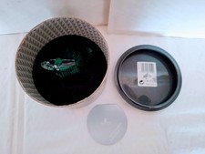 SWAROVSKI - POISSON COMBATTANT