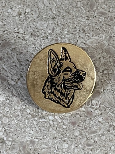 Pin berger allemand - berger, ++
