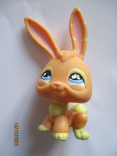 Petshop Lapin #1565