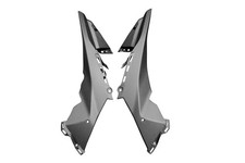 Carénage Latéral Carbone pour KTM 1290 Super Duke R