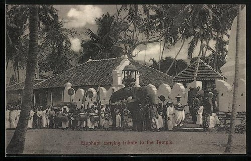 Carte postale elephant portant - postale,