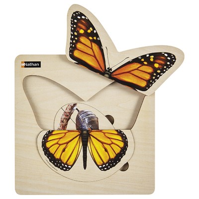Puzzle cycle vie papillon - de, -papillon
