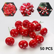 Mousse de champignons beau