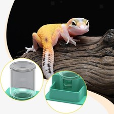 Distributeur d'eau automatique pour reptiles, grenouilles, tortues,
