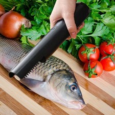 Écailleur électrique