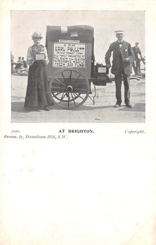 Carte postale brighton the - brighton,