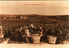 CPM Reims - Coll. CHAMPAGNE