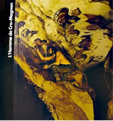 Homme cro magnon les - l'homme,