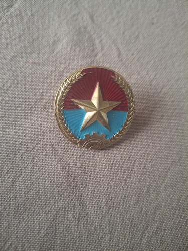 Authentique insigne viet - authentique,