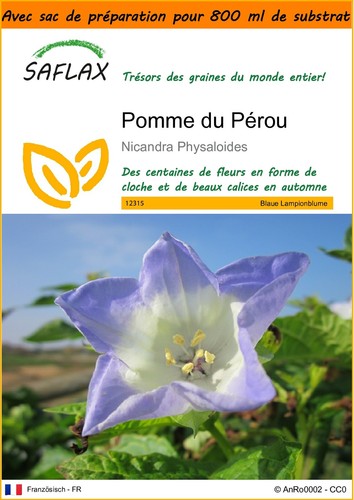 Saflax jardin dans - saflax,