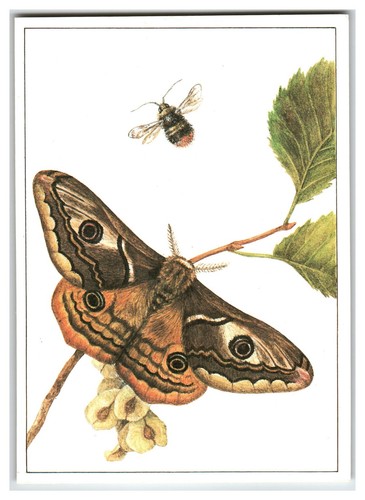1987 russian postcard small - russian,