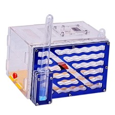 Nid de fourmis, jouets faciles