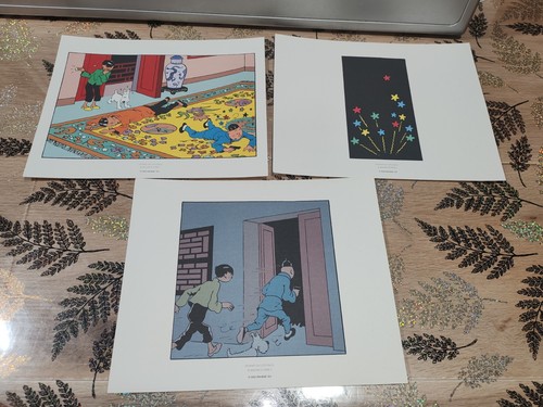 Lot planches tintin - planches,