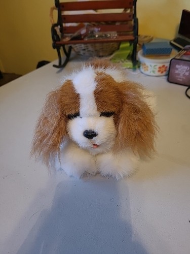 Hasbro tiger 2003 - tiger, furreal