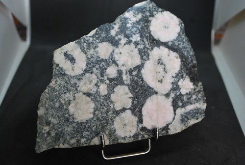 Diorite orbiculaire rose - orbiculaire,