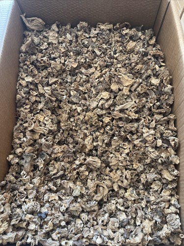 Morilles pieds séchées kg - morilles,