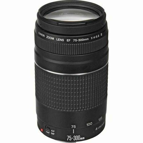 Canon 300mm 4 - canon, 75-300mm