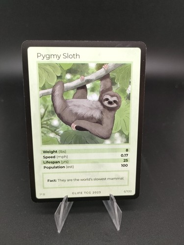 Pygmy sloth life tcg 2023 - ,