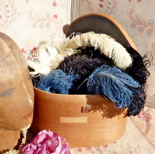 ANCIENNE BOITE à CHAPEAU garnie de diverses PLUMES D'AUTRUCHE, STOCK DE MODISTE