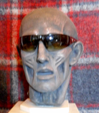 Head bust by Houdon "Ecorche"