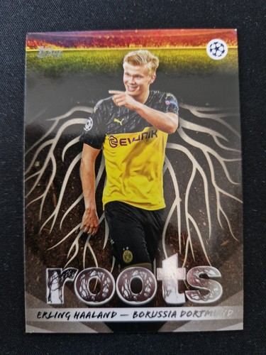 Erling haaland borussia - erling,