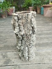 Pot/Jardinière En Écorce De