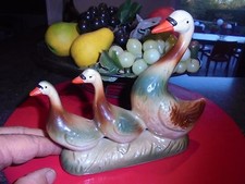 Sympathique Famille de Canard Do Brazil en Barbotine idéale vente de Foie Gras