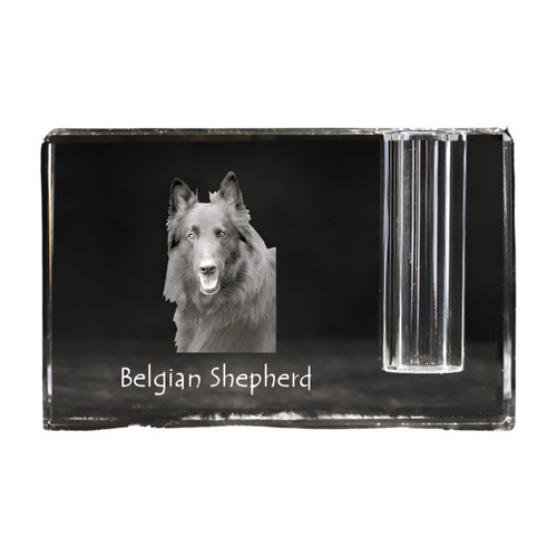 Chiens berger belge - de,